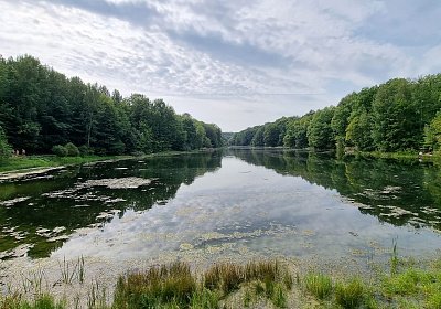 Лесопарк «Щелоковский хутор»